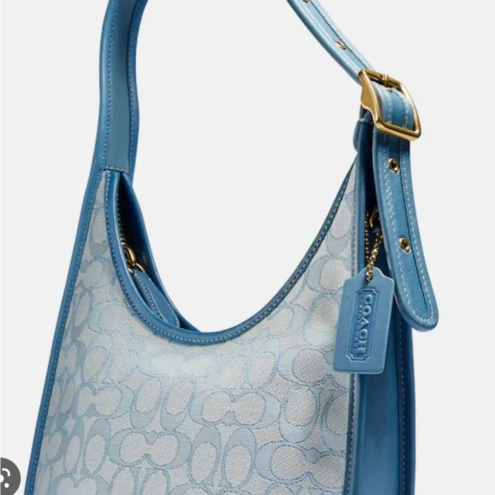 this bag